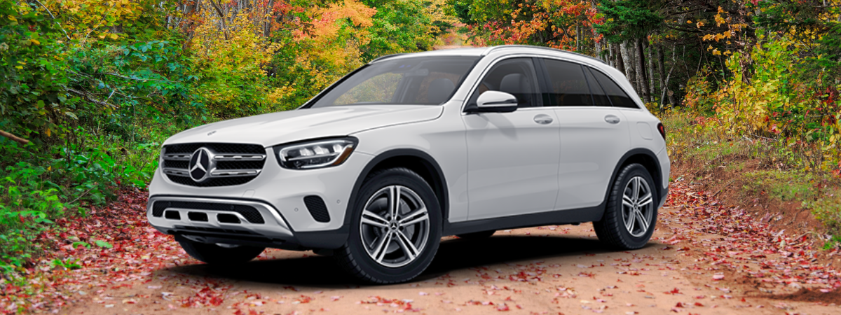 Best Fall Activities Near Burlington, MA