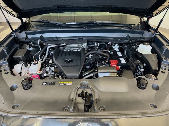 2025 Lexus TX 350 Luxury